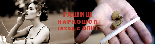 индика Бугульма