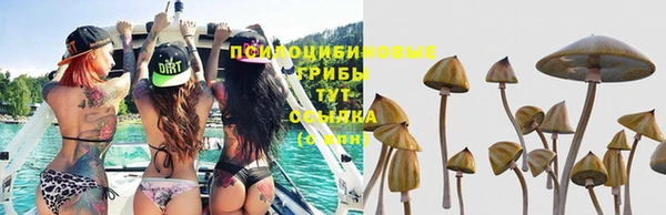 mix Бронницы