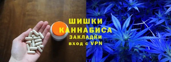 индика Бугульма