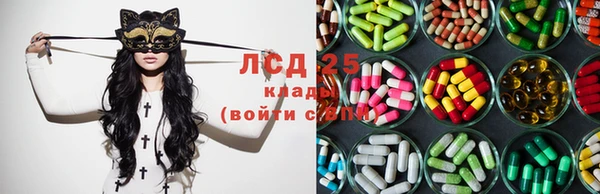 индика Бугульма