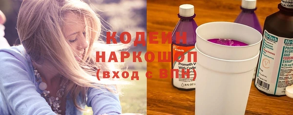 индика Бугульма