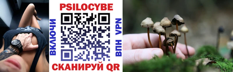 blacksprut ссылка  Павловская  Галлюциногенные грибы Magic Shrooms  где купить наркотик 